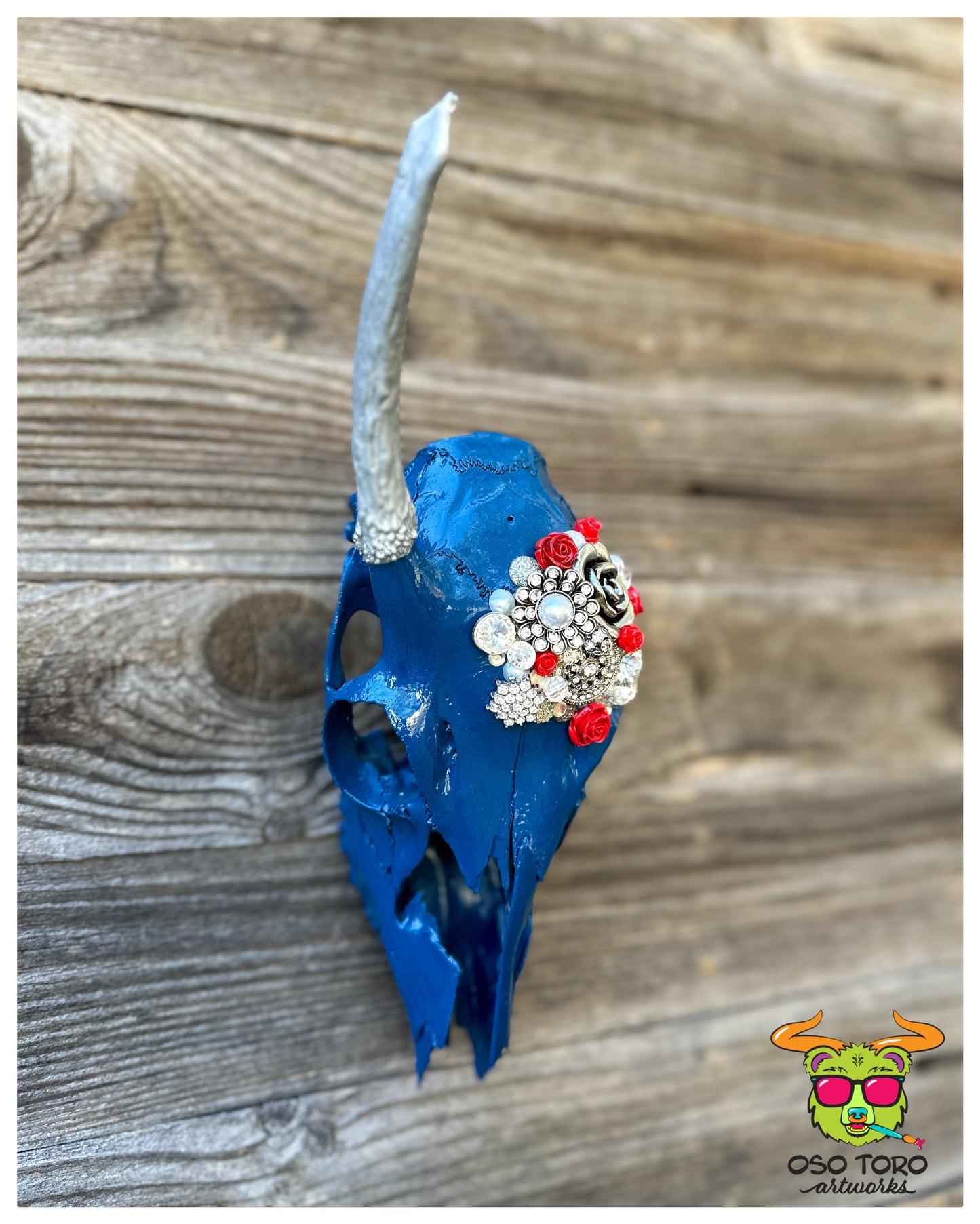 “Blue is Your Color” Spike Deer Skull